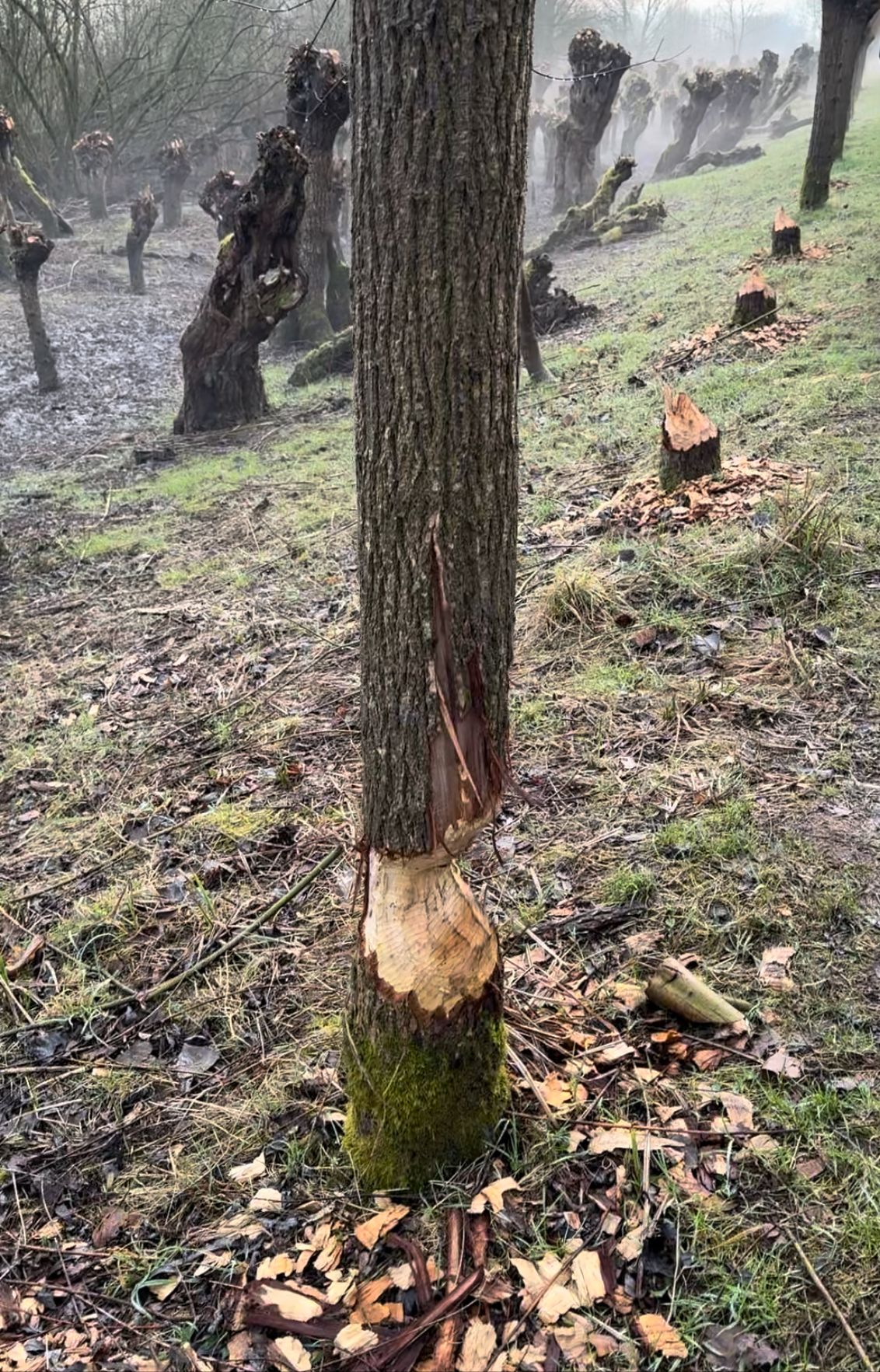 Deelnemers in gesprek tijdens een wandeling.